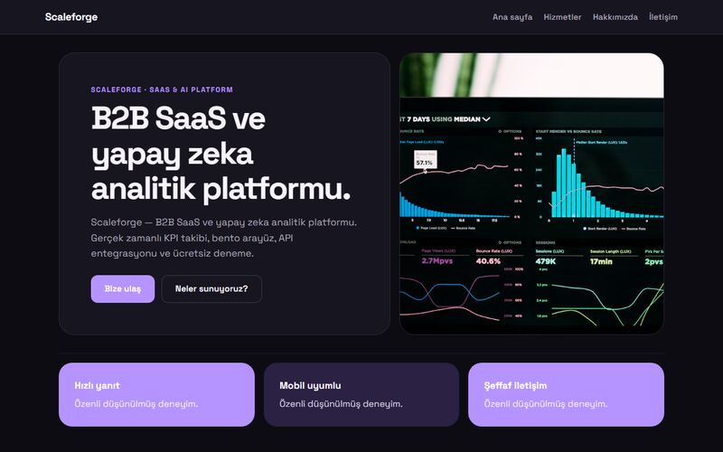 Scaleforge örnek sitesinin ana sayfası